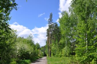 Куда съездить на природу в Екатеринбурге: лучшие парки и места для прогулок 