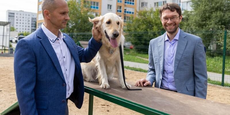 Открыты новые площадки для выгула собак в Орджоникидзевском районе Екатеринбурга